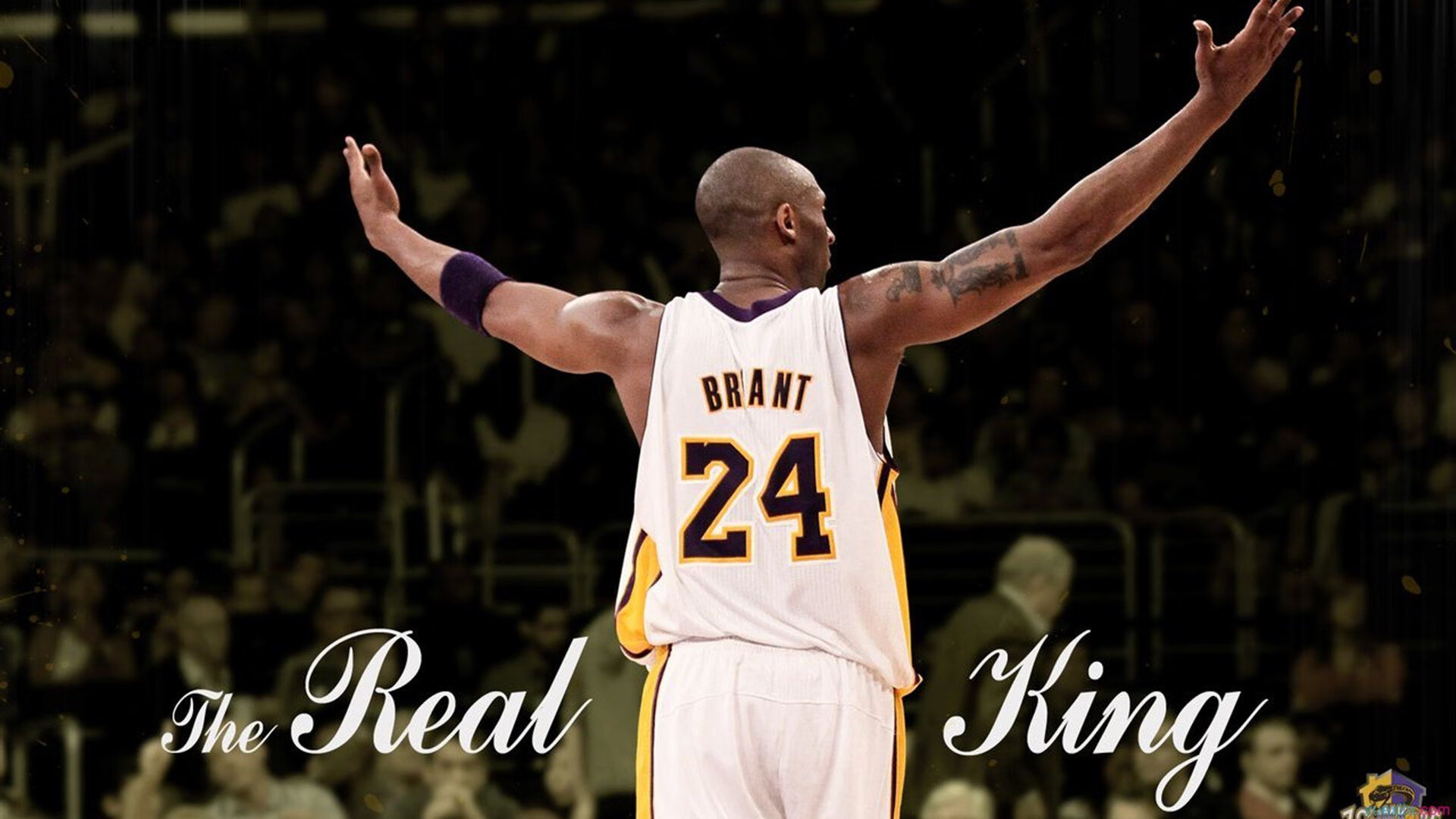 加拿大队不断突破!穆雷连续十二场比赛得分超过大比分获胜,赛场气氛高涨