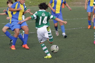 明日国王杯前瞻：哈兰德伤情更新，费内巴切冲击逆转纪录-九游娱乐app下载